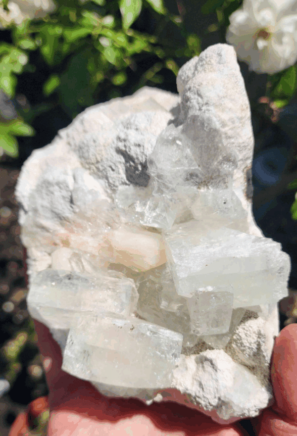 Apophyllite Crystal Cluster