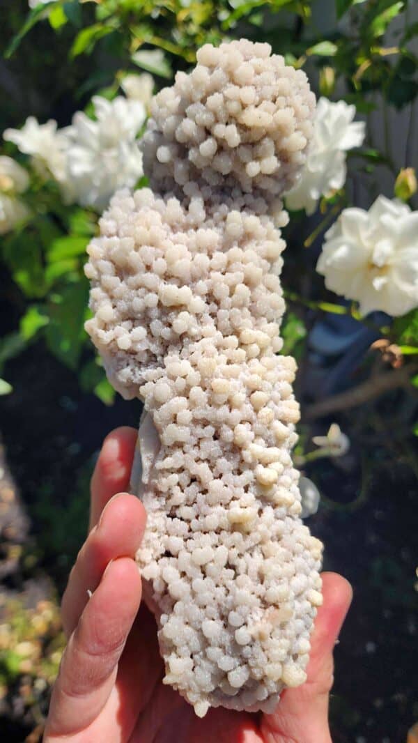 Natural Calcite Stalactite Crystal Specimen - Image 2