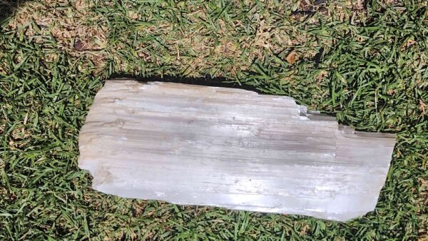 Large Raw Selenite Crystal