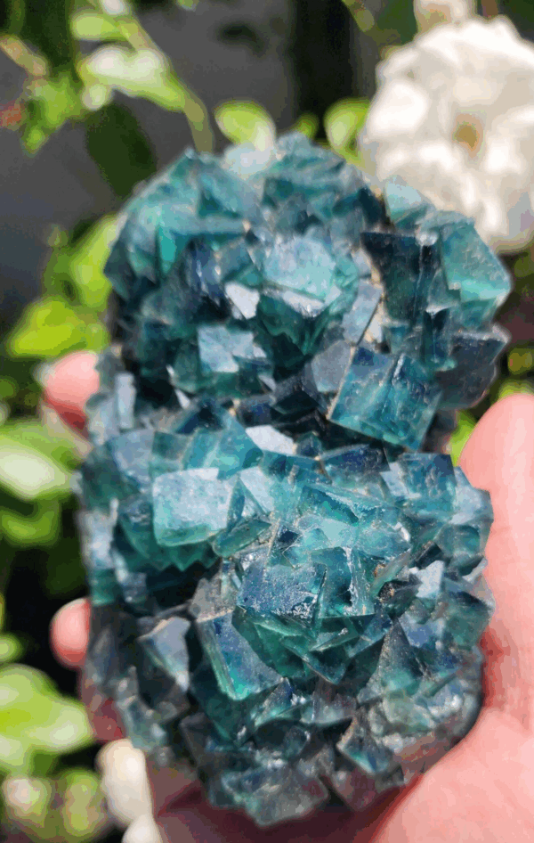 Raw Cubic Fluorite Crystal Cluster - Image 2