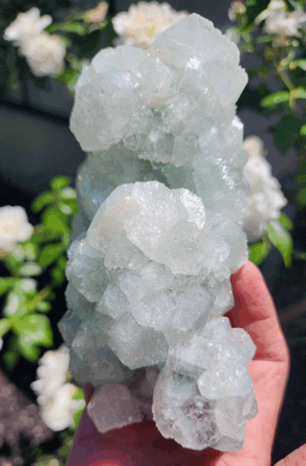 Apophyllite Crystal Cluster