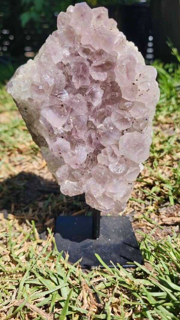 Brazilian Amethyst Crystal Cluster