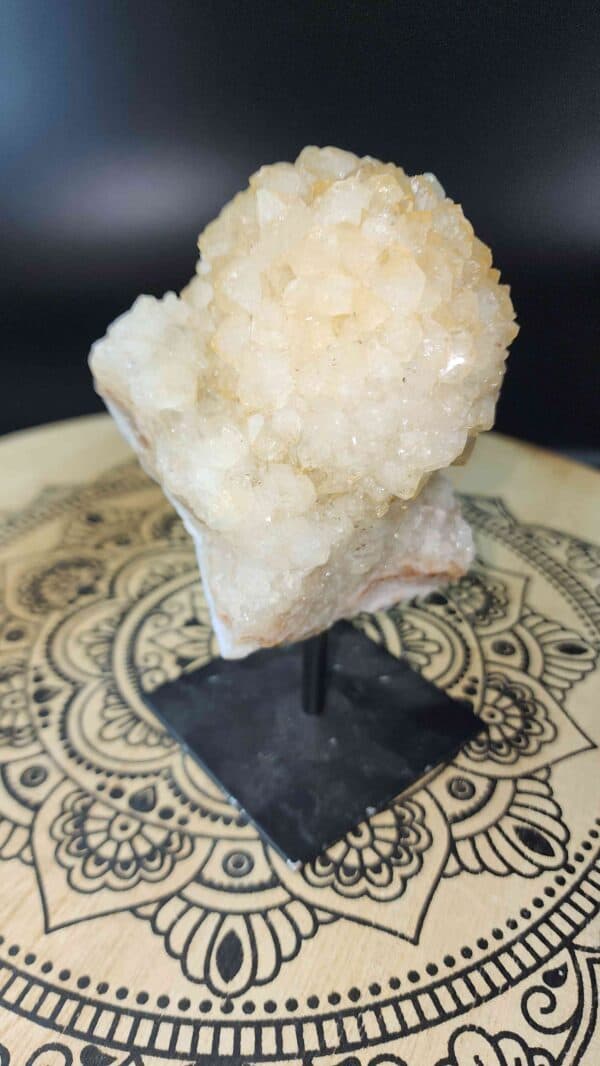 Citrine Cactus Crystal Cluster On Stand