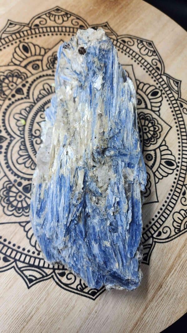 Natural Blue Kyanite Crystal Cluster