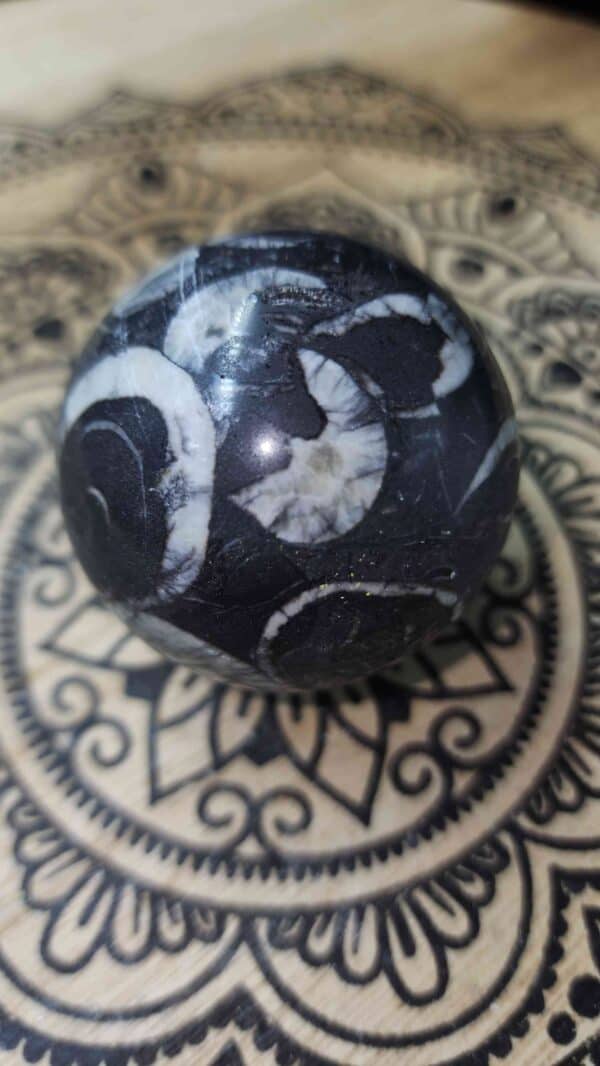 Thousand Eye Jasper Fossil Crystal Sphere