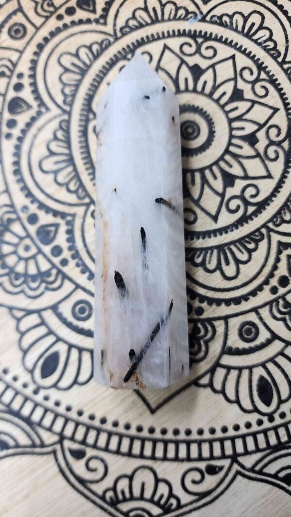 Black Tourmaline Rutile In Quartz Tower