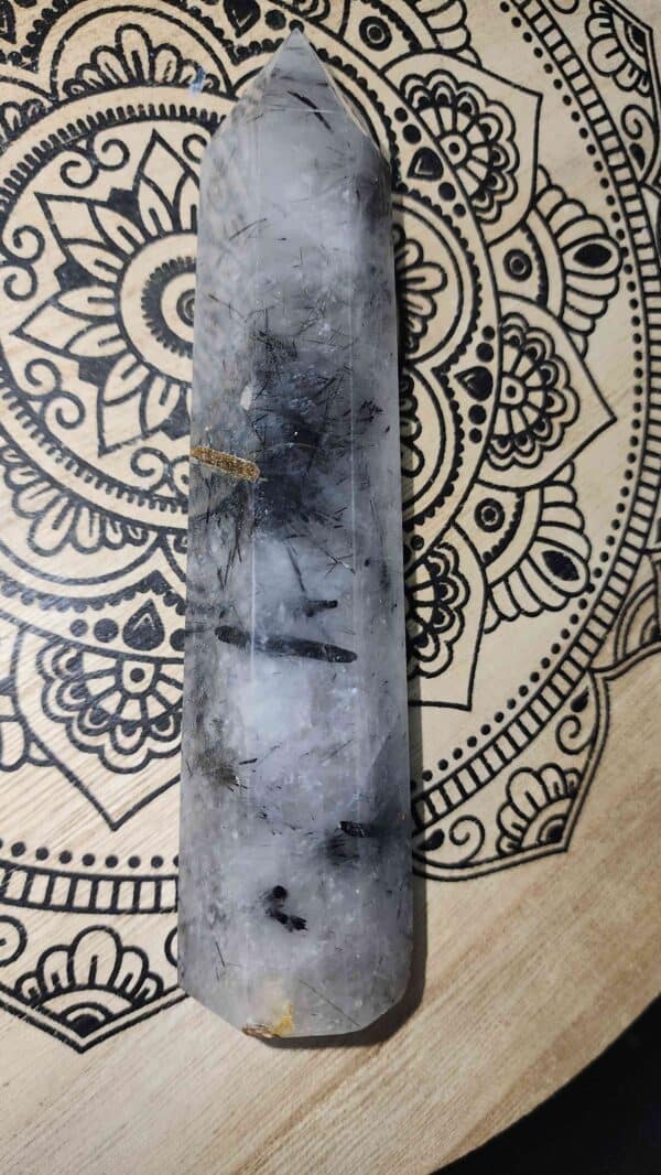 Black Tourmaline Rutilated Quartz Tower