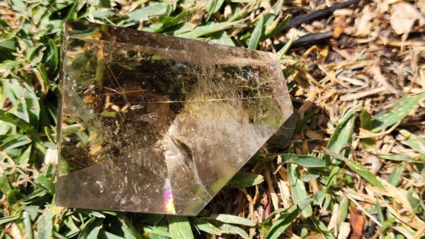 Gold Rutilated Smokey Quartz Crystal Freeform