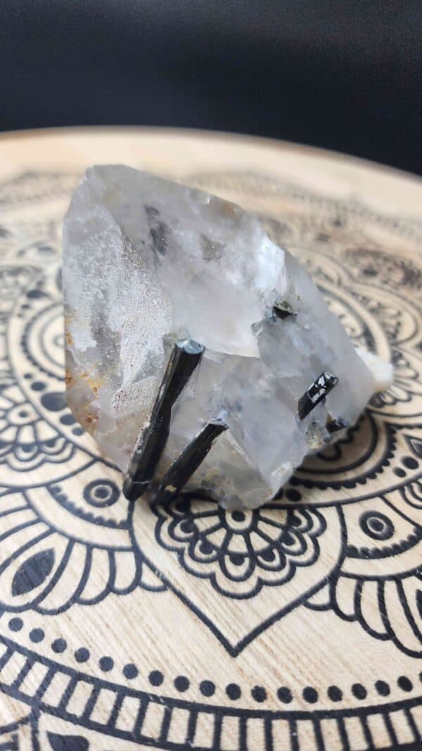 Black Tourmaline In Himalayan Quartz