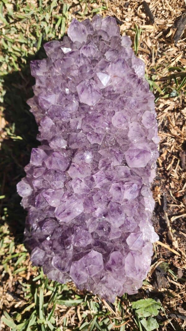 Brazilian Amethyst Crystal Cluster