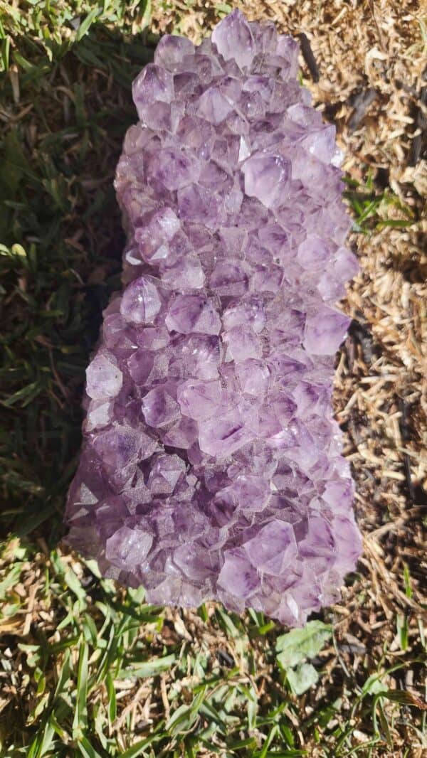 Brazilian Amethyst Crystal Cluster - Image 2