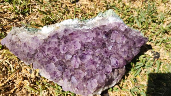 Brazilian Amethyst Crystal Cluster