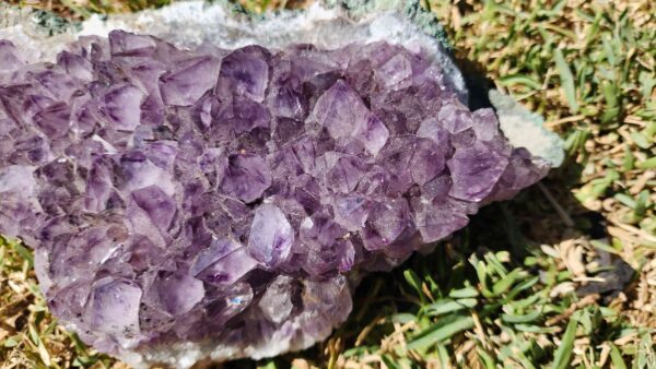 Brazilian Amethyst Crystal Cluster - Image 2