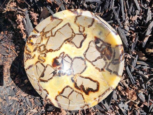 Natural Septarian Crystal Bowl