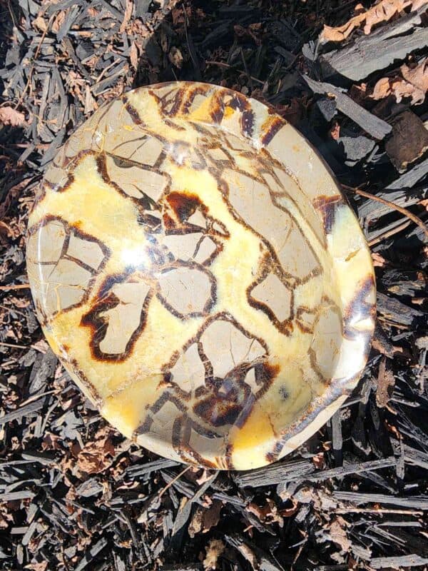 Natural Septarian Crystal Bowl - Image 2