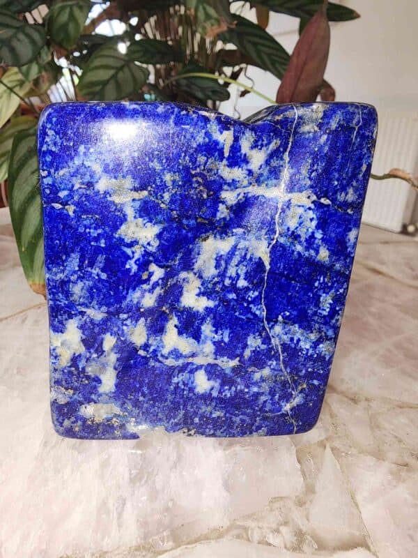 High Quality Lapis Lazuli Freeform - Image 2