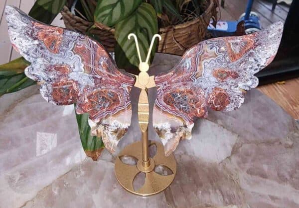 High Quality Mexican Lace Agate Crystal Butterfly Wing Set - Image 2