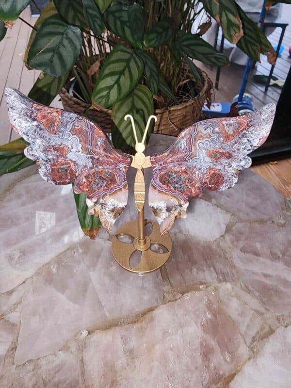 High Quality Mexican Lace Agate Crystal Butterfly Wing Set