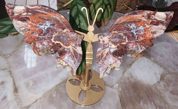 High Quality Mexican Lace Agate Crystal Butterfly Wing Set