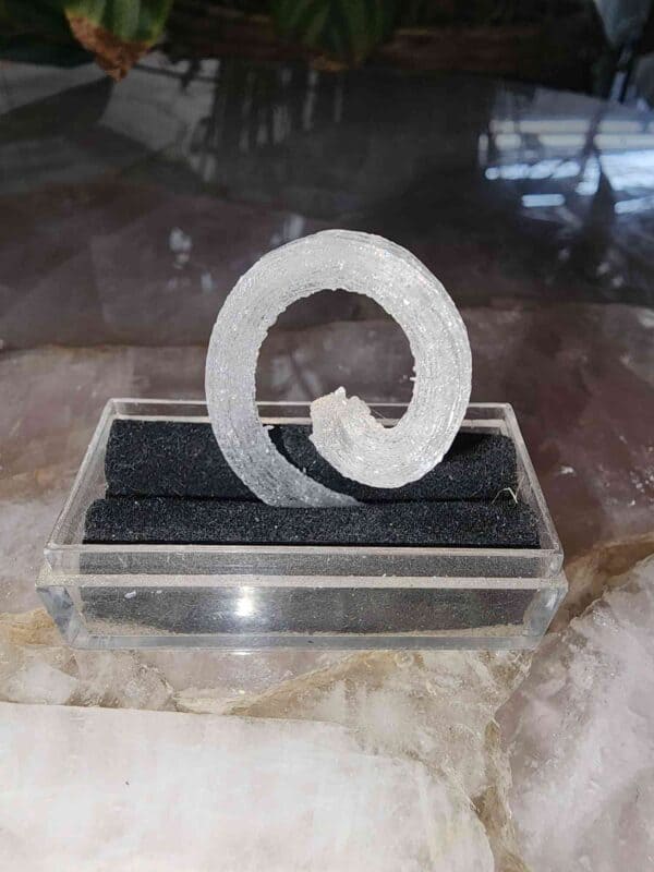 Rare Rams Horn Selenite Crystal