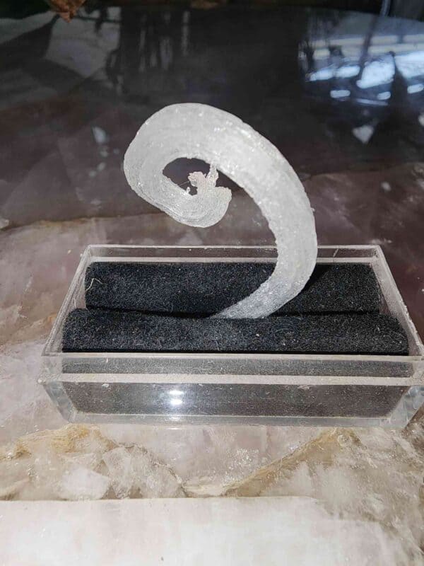 Rare Rams Horn Selenite Crystal - Image 2