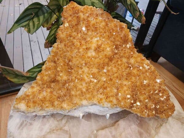 Large Heated Citrine Cluster With Stand